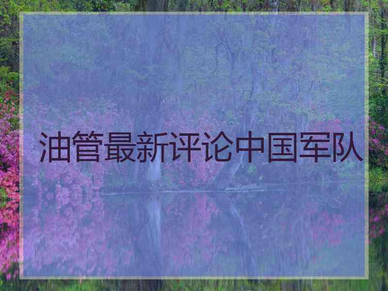 油管最新评论中国军队