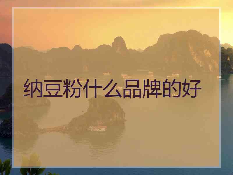 纳豆粉什么品牌的好