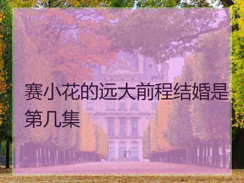 赛小花的远大前程结婚是第几集