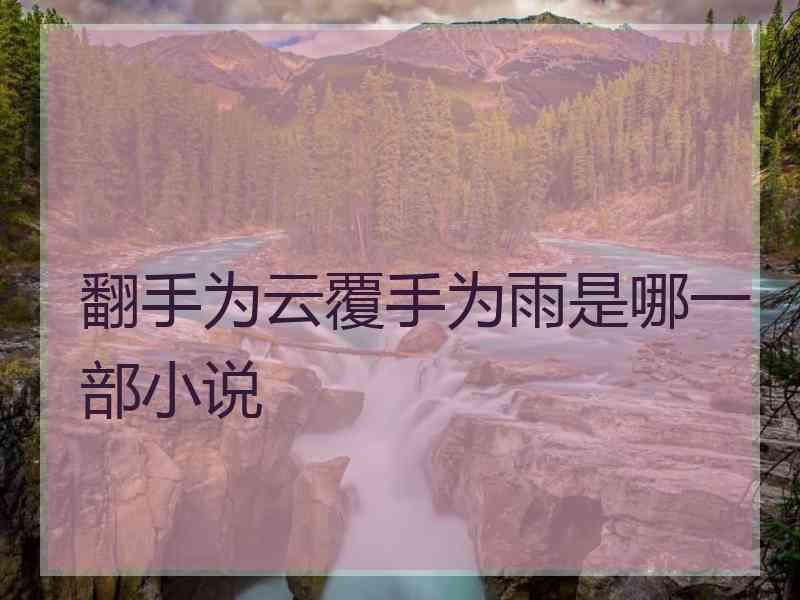 翻手为云覆手为雨是哪一部小说