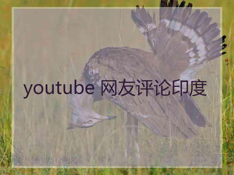 youtube 网友评论印度