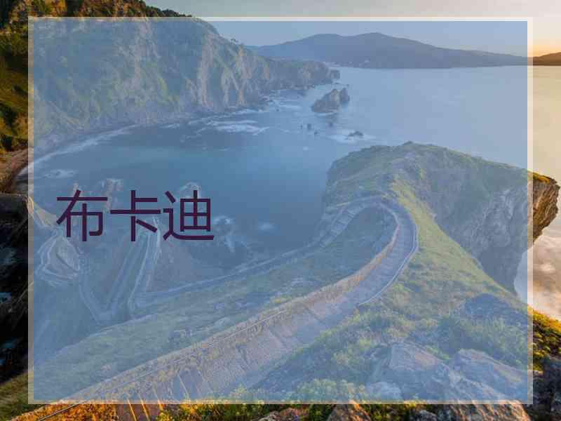 布卡迪