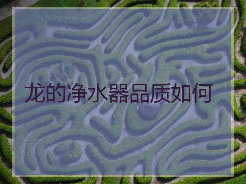龙的净水器品质如何