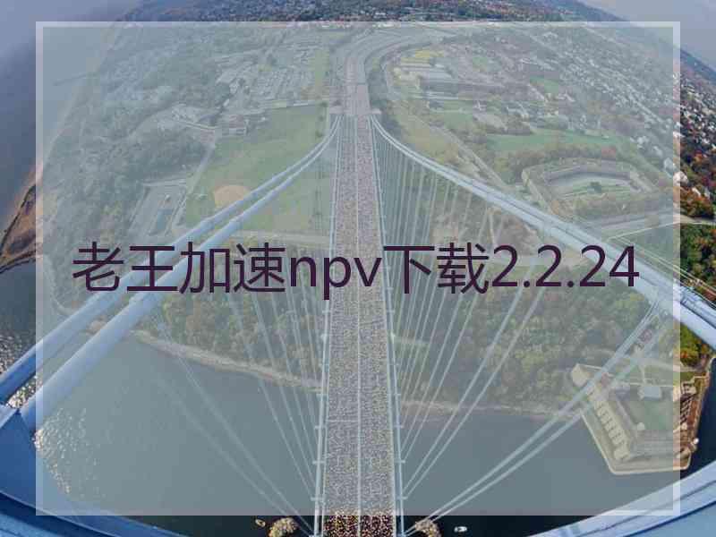 老王加速npv下载2.2.24
