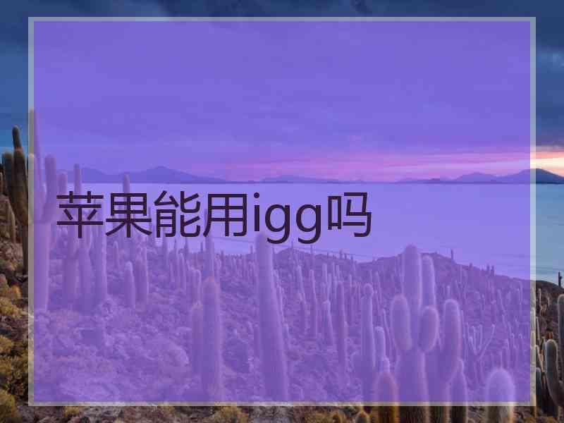 苹果能用igg吗