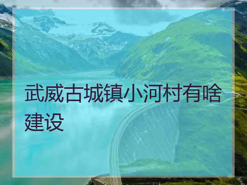 武威古城镇小河村有啥建设
