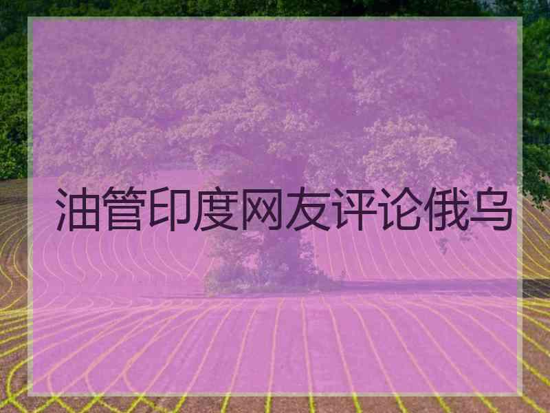 油管印度网友评论俄乌