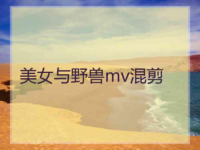 美女与野兽mv混剪