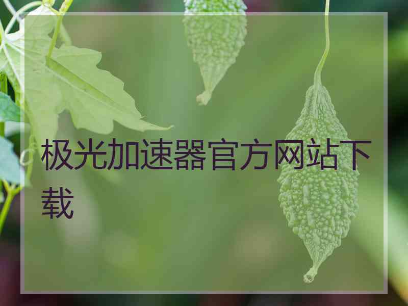 极光加速器官方网站下载