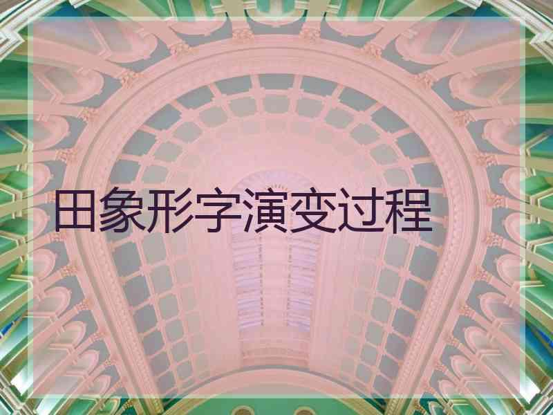 田象形字演变过程