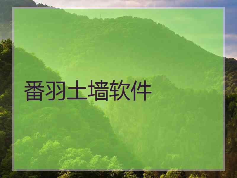 番羽土墙软件