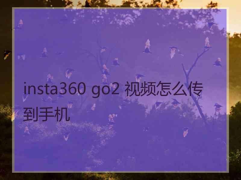 insta360 go2 视频怎么传到手机