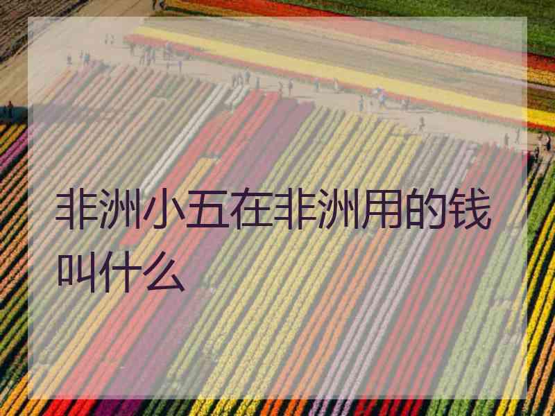 非洲小五在非洲用的钱叫什么