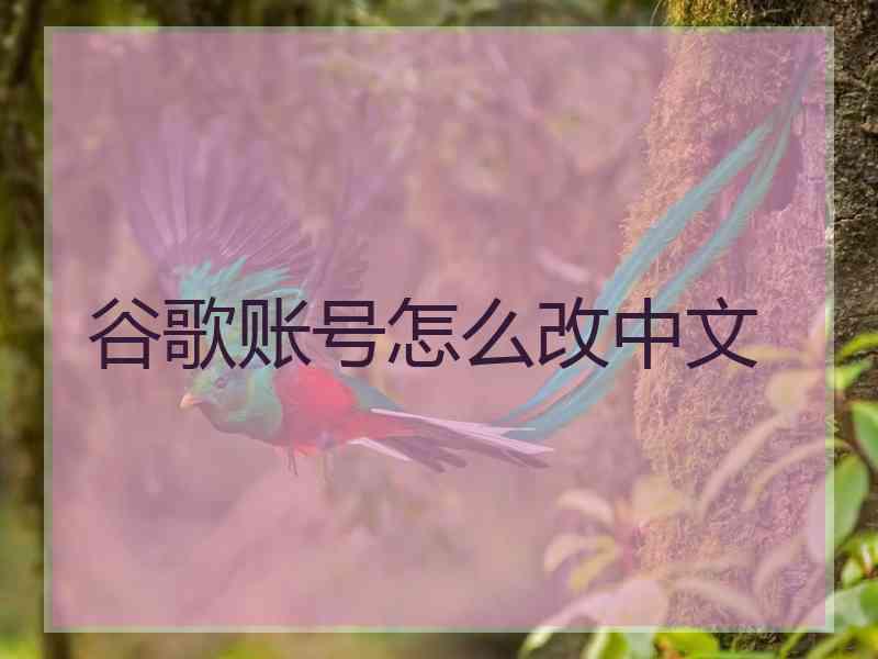 谷歌账号怎么改中文