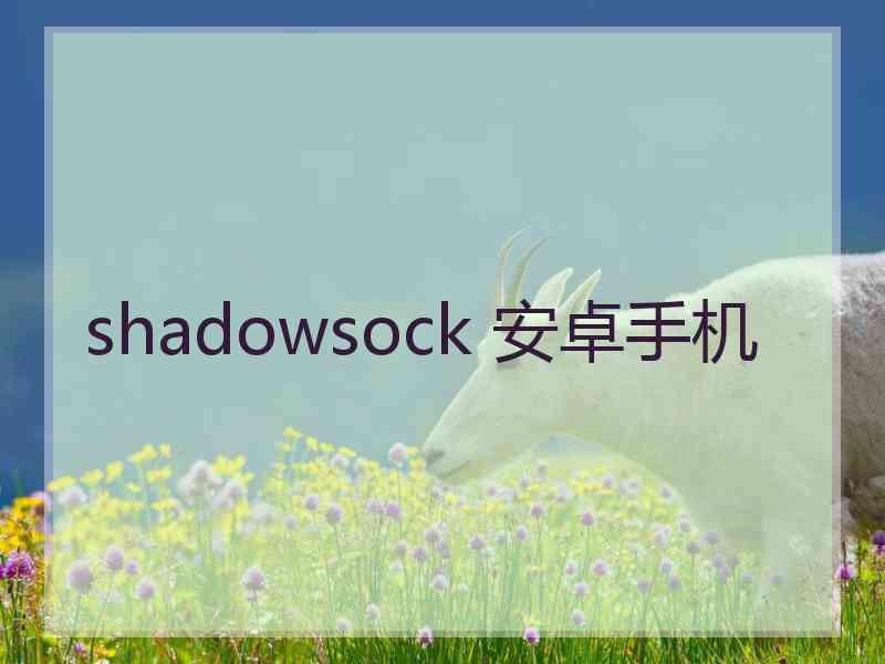 shadowsock 安卓手机