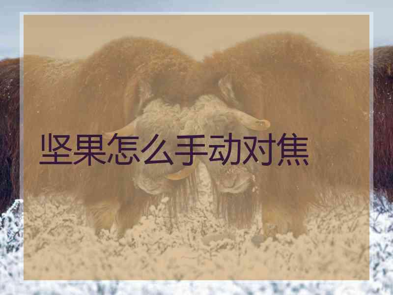 坚果怎么手动对焦