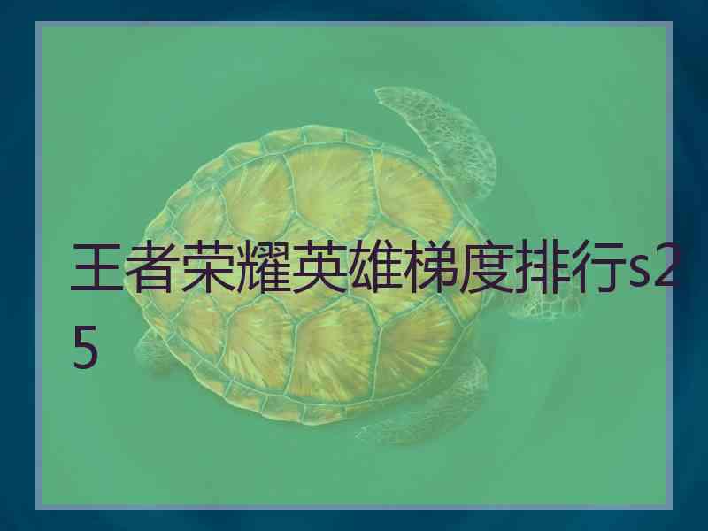 王者荣耀英雄梯度排行s25