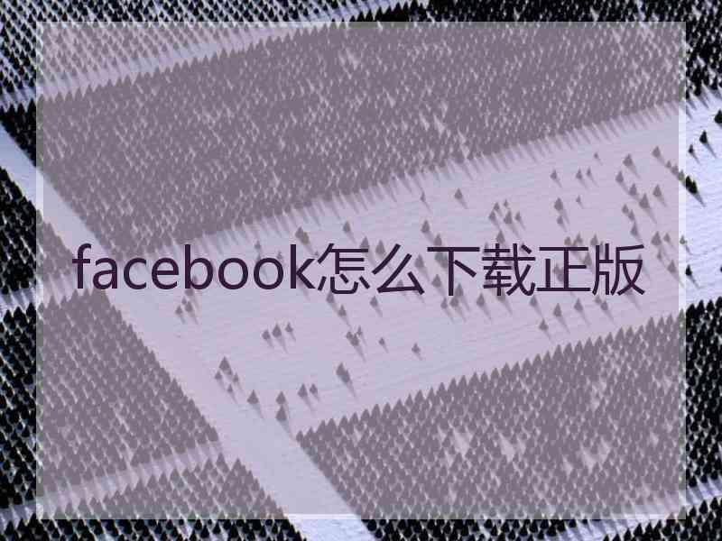 facebook怎么下载正版