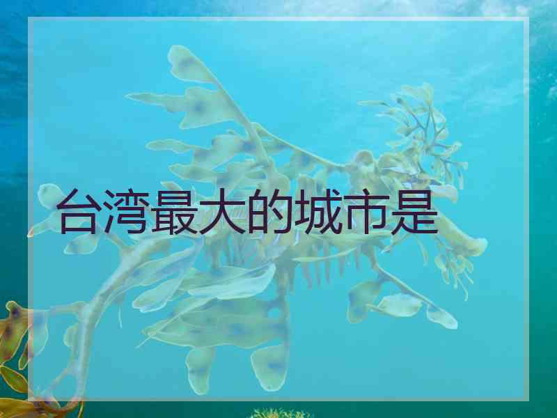 台湾最大的城市是