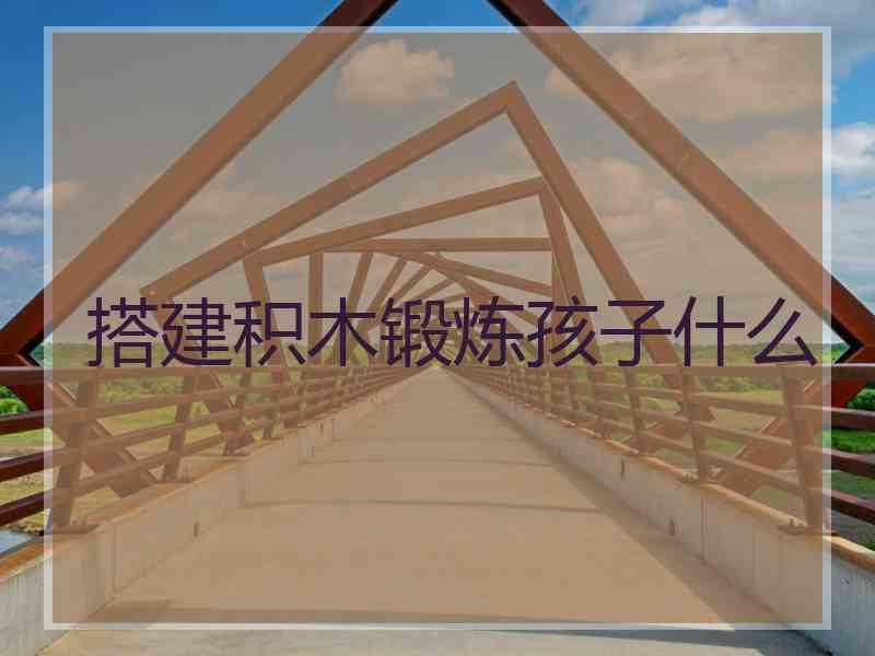 搭建积木锻炼孩子什么