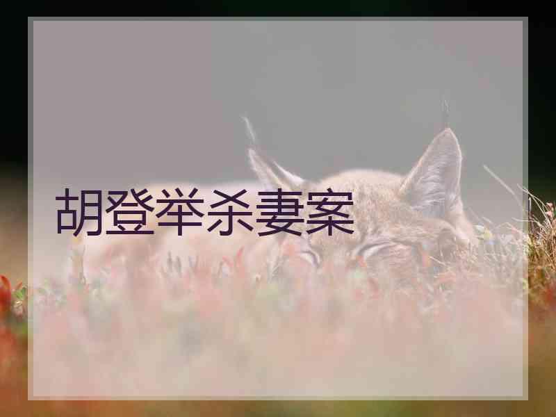 胡登举杀妻案