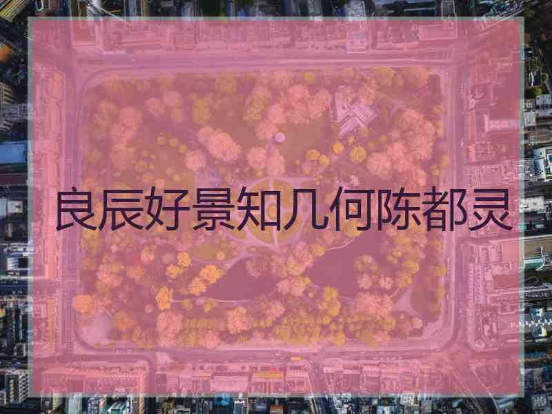 良辰好景知几何陈都灵