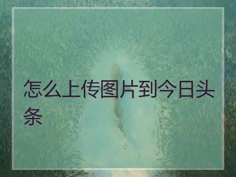 怎么上传图片到今日头条