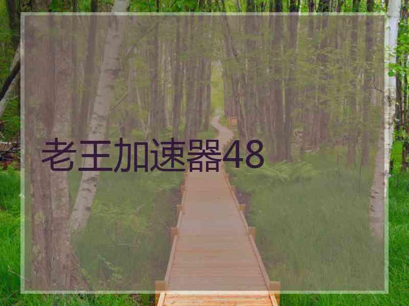 老王加速器48