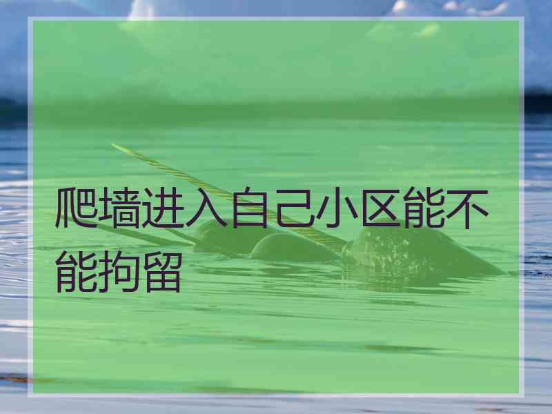 爬墙进入自己小区能不能拘留