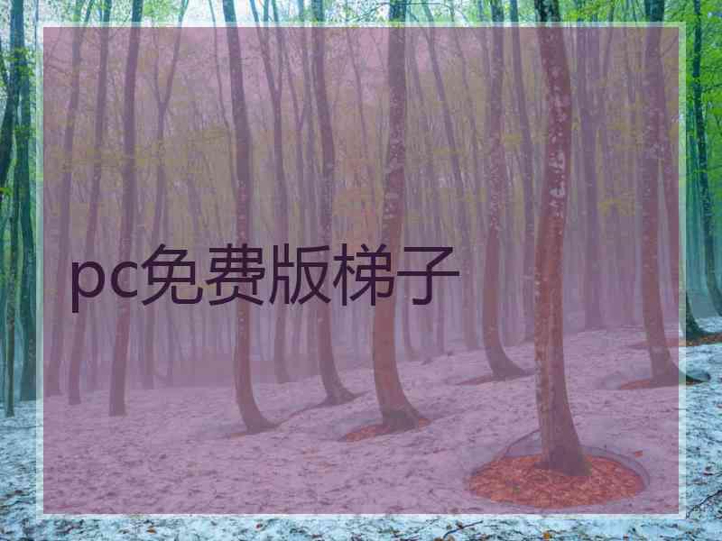 pc免费版梯子