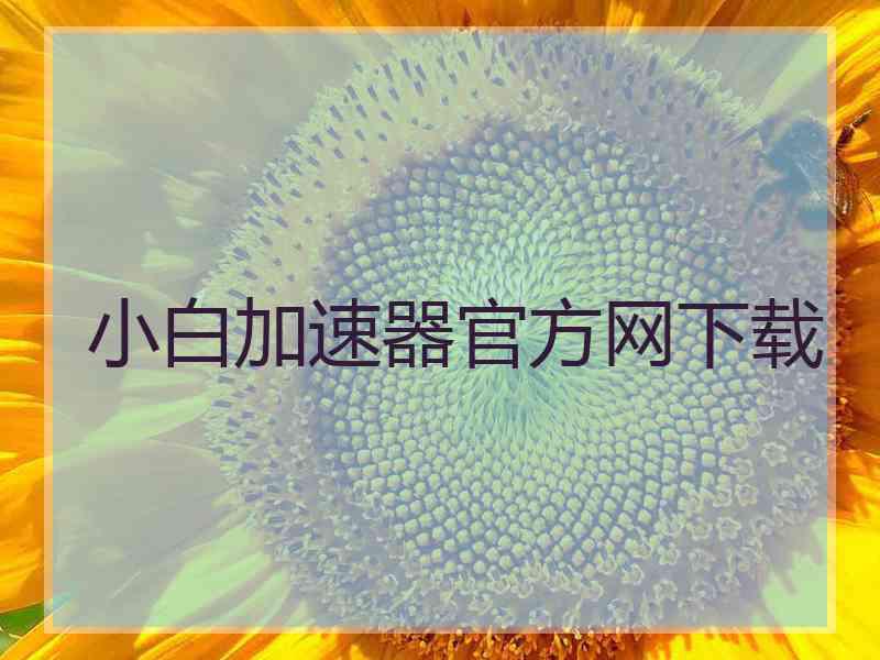 小白加速器官方网下载