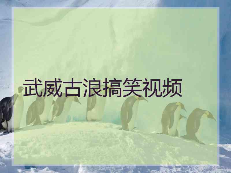 武威古浪搞笑视频