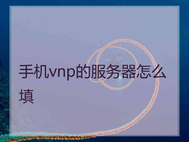 手机vnp的服务器怎么填