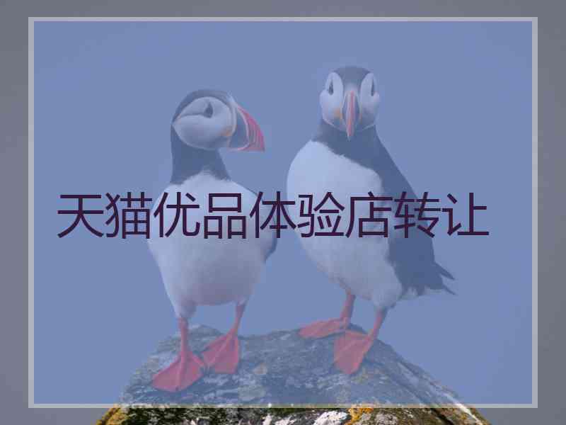 天猫优品体验店转让