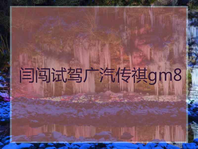 闫闯试驾广汽传祺gm8