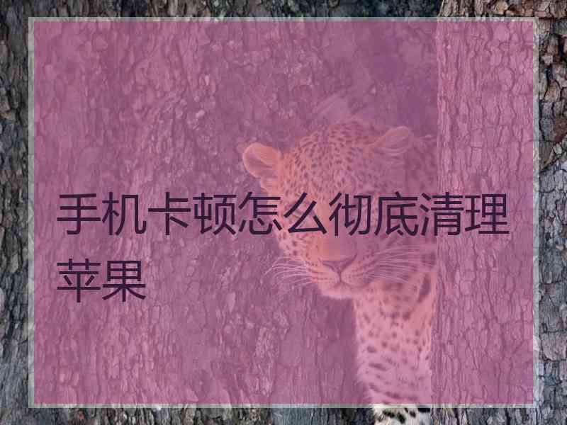手机卡顿怎么彻底清理苹果
