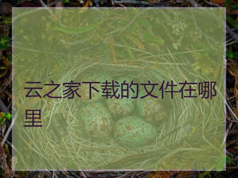 云之家下载的文件在哪里