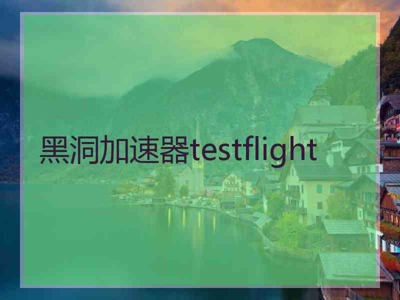 黑洞加速器testflight