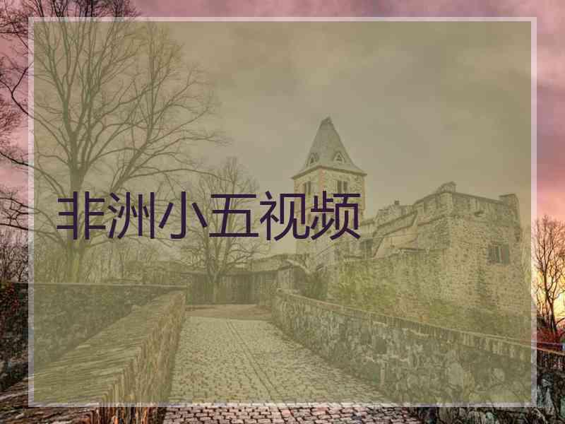 非洲小五视频