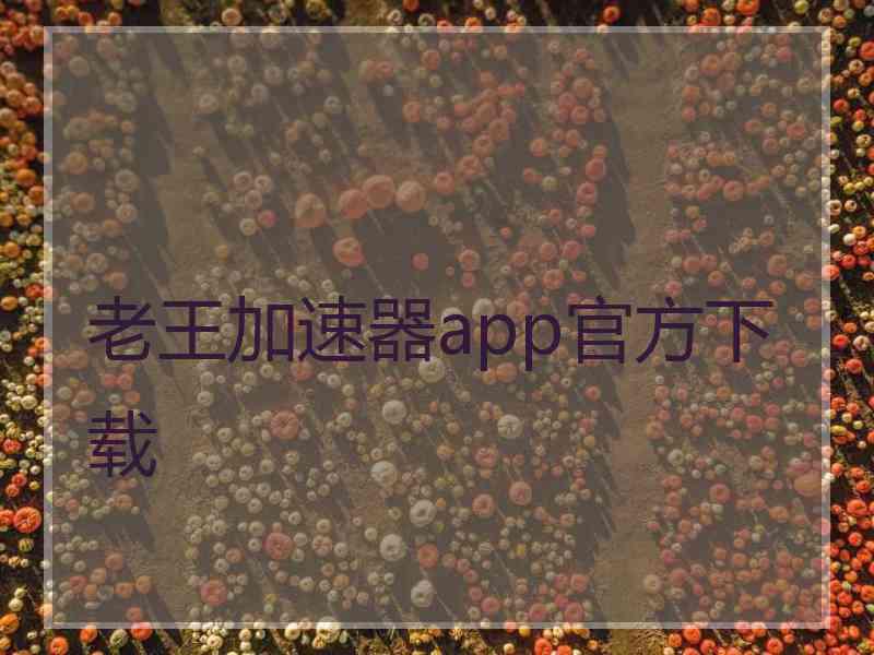 老王加速器app官方下载
