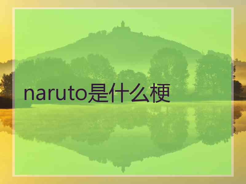 naruto是什么梗