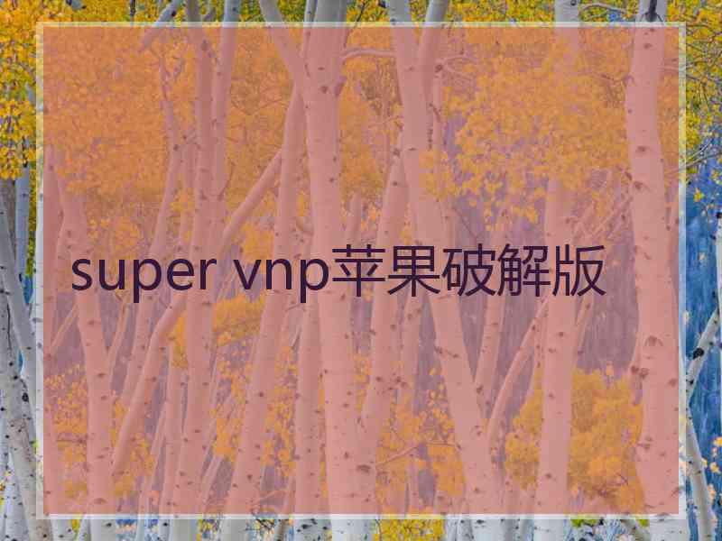 super vnp苹果破解版