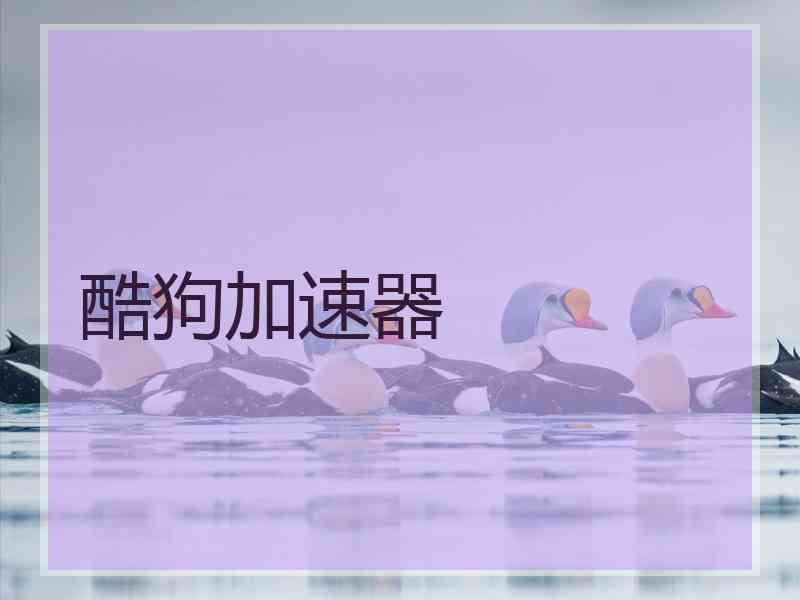 酷狗加速器