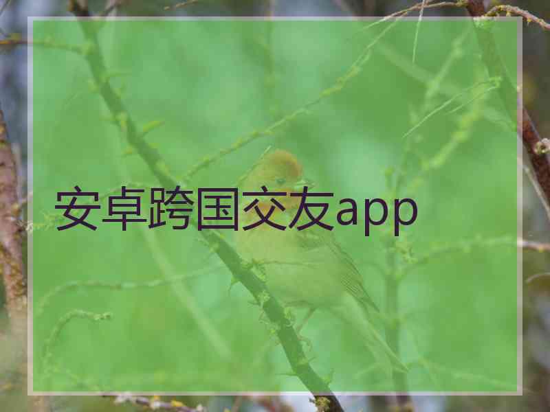 安卓跨国交友app