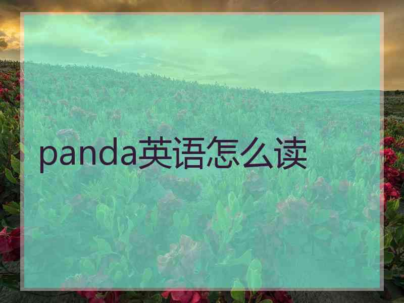 panda英语怎么读