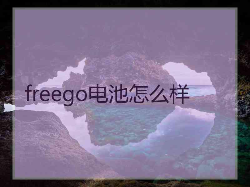 freego电池怎么样