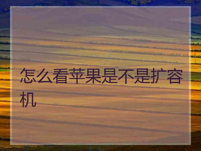 怎么看苹果是不是扩容机