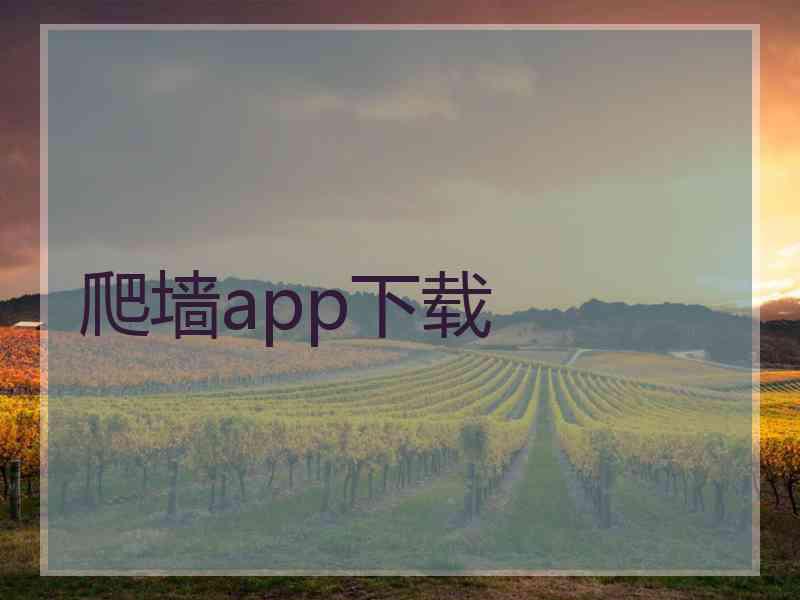 爬墙app下载