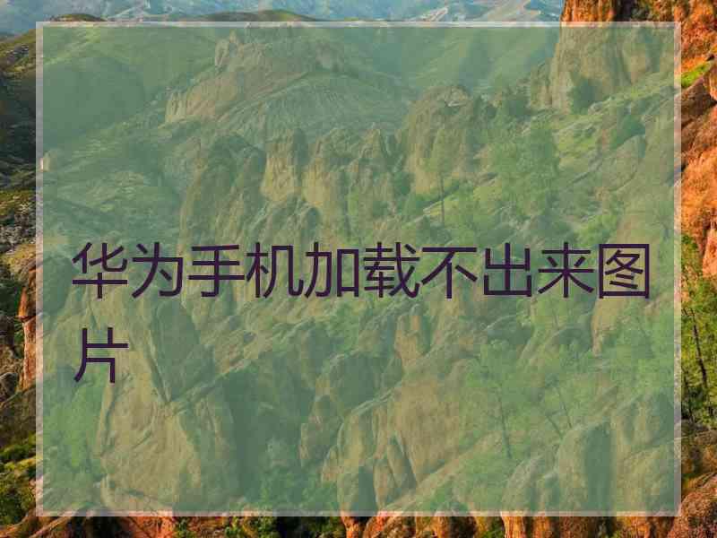 华为手机加载不出来图片