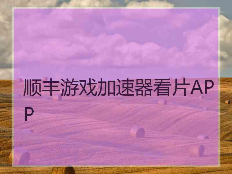 顺丰游戏加速器看片APP